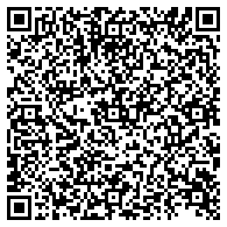 QR-код с контактной информацией организации ООО Серегина