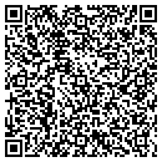 QR-код с контактной информацией организации Светлана, магазин