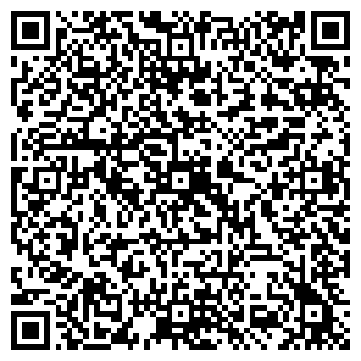 QR-код с контактной информацией организации Рекорд, ДЮСШ