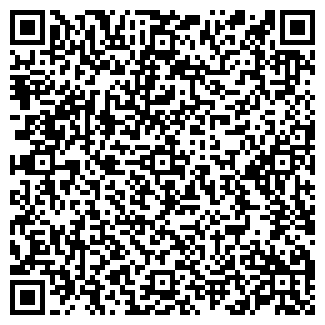 QR-код с контактной информацией организации Детская школа искусств №1