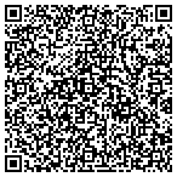 QR-код с контактной информацией организации Детская художественная школа №2