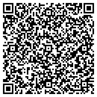 QR-код с контактной информацией организации Дом лудильщика Фирсова
