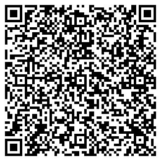 QR-код с контактной информацией организации Тема