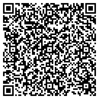 QR-код с контактной информацией организации Лиза