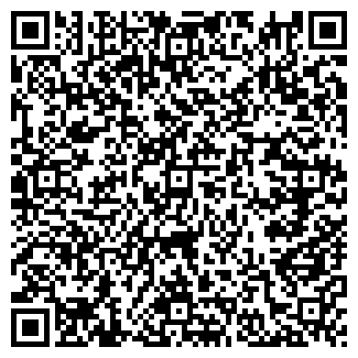 QR-код с контактной информацией организации ИП Гребенщикова Н.Н.