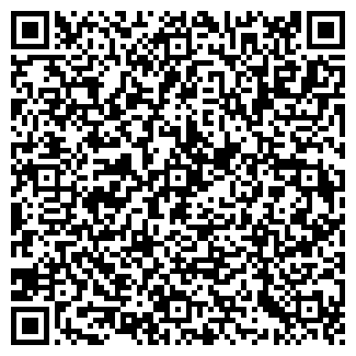 QR-код с контактной информацией организации Palmetta