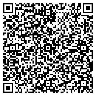QR-код с контактной информацией организации Izjum