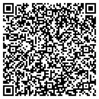 QR-код с контактной информацией организации ИП Мишангов А.В.