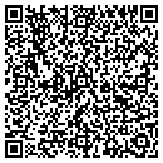 QR-код с контактной информацией организации Форд-Омск