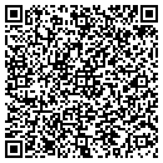 QR-код с контактной информацией организации Блин