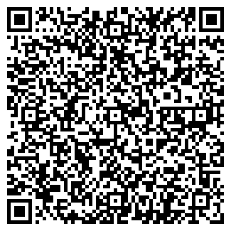 QR-код с контактной информацией организации БОРИСКИНА, ЧП