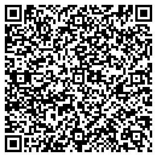 QR-код с контактной информацией организации Киоск по продаже мороженого