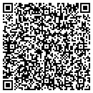 QR-код с контактной информацией организации ПИЯНЗИН, ЧП