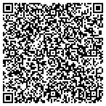 QR-код с контактной информацией организации Детская художественная школа №1 им. Н.П. Шлейна