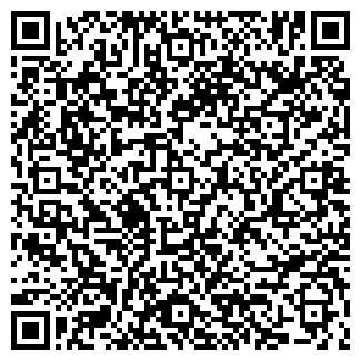 QR-код с контактной информацией организации Пирамида, магазин продуктов
