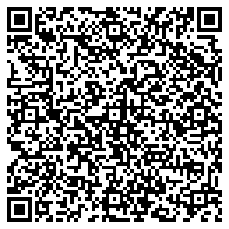 QR-код с контактной информацией организации Лучик, продуктовый магазин