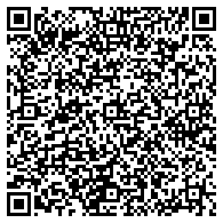 QR-код с контактной информацией организации Тольятти 2