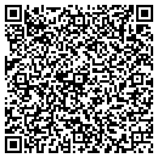 QR-код с контактной информацией организации Химчистка №1