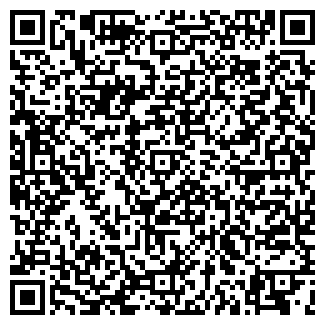QR-код с контактной информацией организации "Amstel"