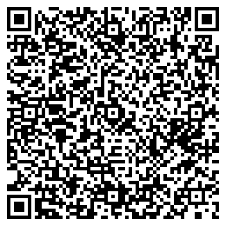 QR-код с контактной информацией организации Pinta Pub