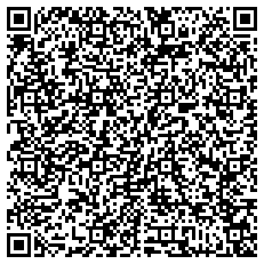 QR-код с контактной информацией организации Шиномонтажная мастерская на Солнечной Поляне, 24д к3
