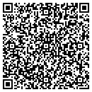 QR-код с контактной информацией организации МАЗ, ООО