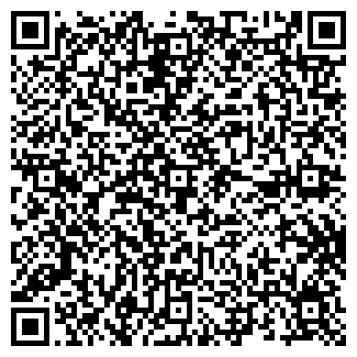 QR-код с контактной информацией организации Stepo.ru