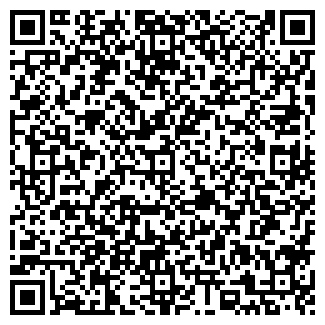 QR-код с контактной информацией организации Детский сад №53, Звездочка