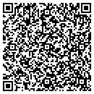 QR-код с контактной информацией организации ИП Цыкунова С.И.