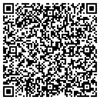 QR-код с контактной информацией организации Детский сад №100