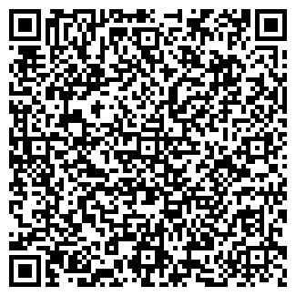 QR-код с контактной информацией организации Детская школа искусств №6