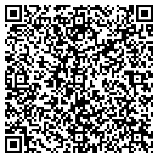 QR-код с контактной информацией организации Торпедо, спортивная школа