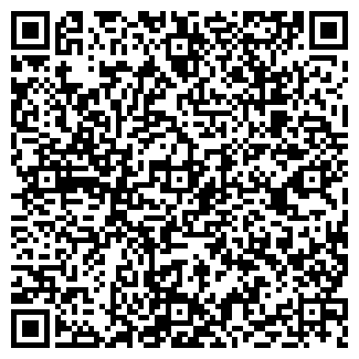 QR-код с контактной информацией организации ИП Дашинимаева Л.Л.