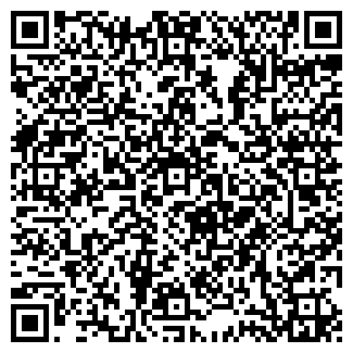 QR-код с контактной информацией организации Алина