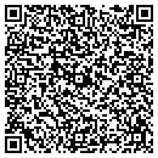 QR-код с контактной информацией организации Bistro