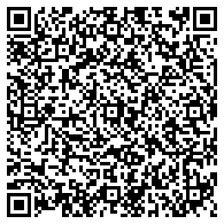 QR-код с контактной информацией организации CASTRO CAFE