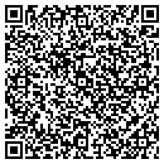 QR-код с контактной информацией организации Бакинская жемчужина