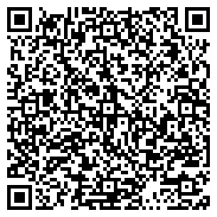 QR-код с контактной информацией организации Фишка