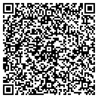 QR-код с контактной информацией организации Караоке-бар  Bariton