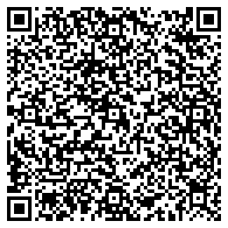 QR-код с контактной информацией организации ИП Носырева Д.В.