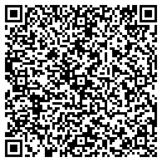 QR-код с контактной информацией организации Визит