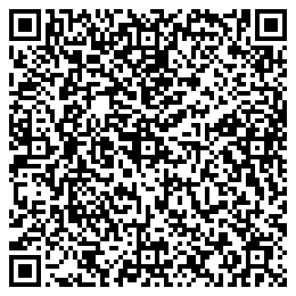 QR-код с контактной информацией организации ИП Васильева М.С.