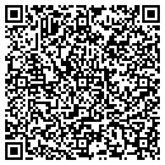 QR-код с контактной информацией организации Драйв
