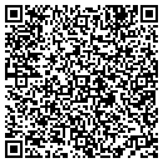 QR-код с контактной информацией организации Лиза