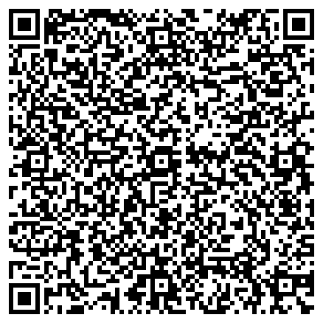 QR-код с контактной информацией организации Детская школа искусств г. Черногорска