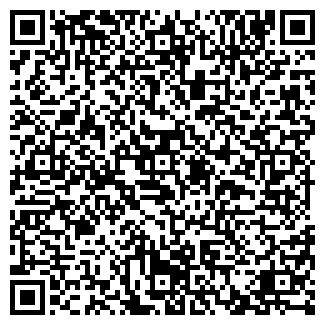 QR-код с контактной информацией организации Публика