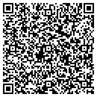 QR-код с контактной информацией организации ИП Буйвол А.В.