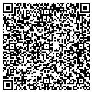 QR-код с контактной информацией организации «DMI/Дятьково»