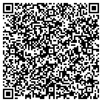 QR-код с контактной информацией организации Мини Шик