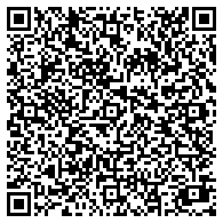 QR-код с контактной информацией организации ООО Росси Телли